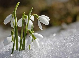 Оновлений прогноз синоптика: коли потепліє після сильних морозів