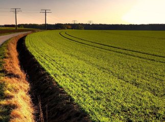 Один зі штрафів в Україні планують збільшити у 100 разів