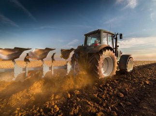 Аграрії Закарпаття можуть отримати допомогу від держави