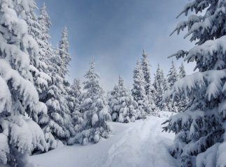 Рятувальники закликають туристів обов’язково реєструватися перед походом у гори