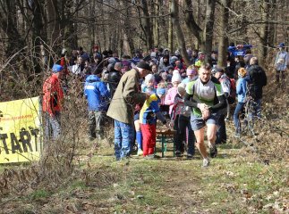 В Ужгороді відбулись зимові обласні змагання зі спортивного орієнтування