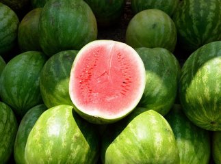 Скільки коштуватимуть кавуни цього року
