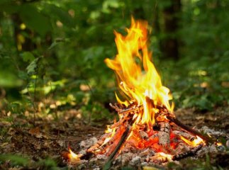 На Закарпатті оголосили високий рівень пожежної небезпеки