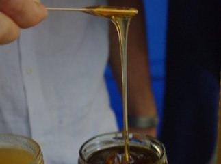 В Ужгороді ласують солодким продуктом на "Медовому Спасі" (ФОТОРЕПОРТАЖ)