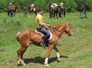 На Закарпатті вперше відбулися змагання з дистанційних кінних пробігів