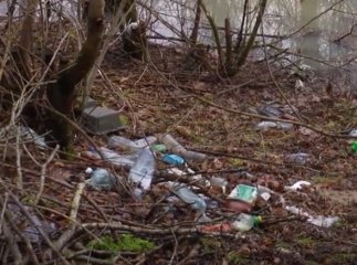 Люди б’ють на сполох: що коїться в одному із сіл Мукачівського району