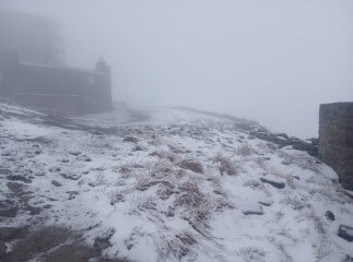 За день до літа на високогір’ї Закарпаття падає сніг