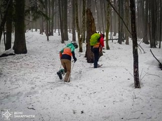Знайдено туристів, які зникли в Карпатах, катаючись на лижах та сноуборді