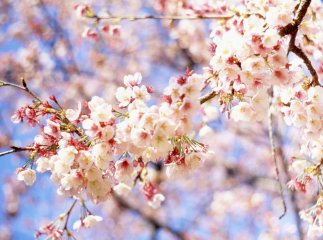 Погода на квітень 2021 року: коли запанує справжня весна