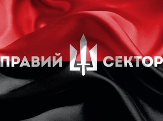 "Правий сектор": кілька питань