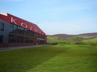 Майно закарпатського виноробного підприємства продадуть з молотка за борги