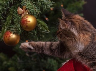 Чи будуть додаткові вихідні дні на Новорічні свята