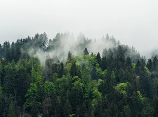 Трагедія в горах: загинув 26-річний чоловік Трагедія в горах: загинув 26-річний чоловік