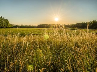 На Закарпатті застерегли від небезпеки на вихідні