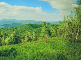 Туристичний збір на Закарпатті: скільки коштів надійшло в 2025 році