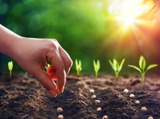 Посівний календар на квітень 2025