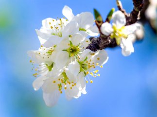 Якою буде погода у квітні 2026 року: синоптики повідомили, чи очікувати тепло