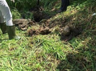 На Ужгородщині виявили труп