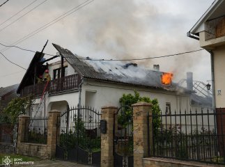 Жителі села викликали рятувальників: що сталося в Ужгородському районі