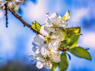 Погода підготувала весняний «сюрприз»: перед Великоднем температура різко зміниться