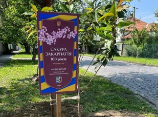 Стартувала туристична акція «Сакура Закарпаття — 100 років»