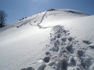 Рятувальники знайшли лижника, який заблукав у горах Рятувальники знайшли лижника, який заблукав у горах