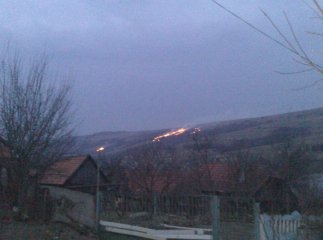 На Воловеччині горів гектар молодих садженців