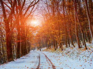 Прогноз погоди на листопад 2023 року погода на листопад 2023 року