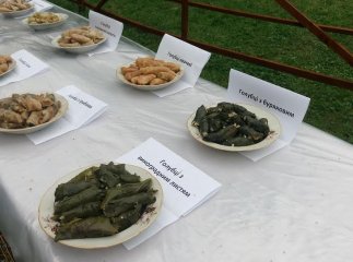 Мешканці Великого Бичкова відзначили День селища фестивалем голубців