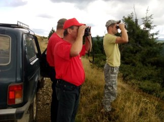 Збираючи ягоди, на Рахівщині заблукав малий хлопчик