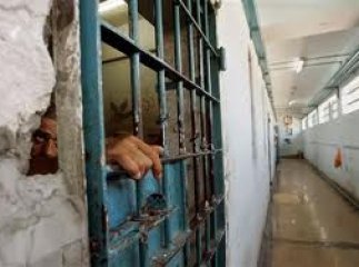 Житель Виноградова за вбивство співмешканки одержав 8 років тюрми