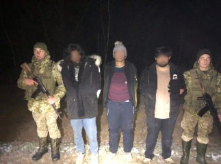 Вночі прикордонники виявили нелегалів