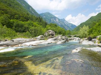 «Надзвичайники» Закарпаття застерегли від проблем на водоймах області