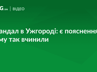 Хто і для чого зрізав дерева біля стадіону: всі подробиці