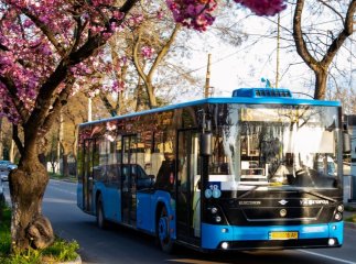 В Ужгороді підвищили вартість проїзду в громадському транспорті: є нюанс