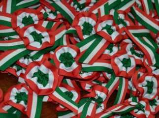 На Берегівщині виготовлятимуть угорські кокарди