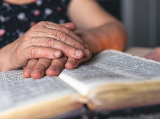 У Мукачеві підтримають матерів загиблих Героїв і матерів-героїнь