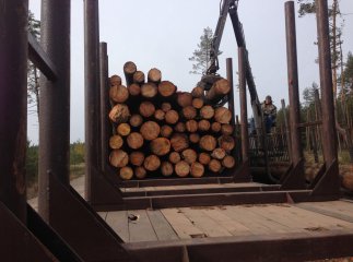 На Міжгірщині правоохоронці затримали вантажівки з "лівим" лісом та металобрухтом