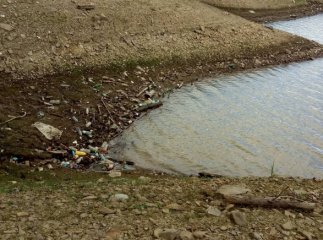 Після осушення Вільшанського водосховища на дні побачили жахливу картину