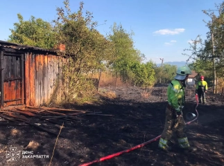 Через сильний вітер вогонь із сухої рослинності перекинувся на господарську споруду
