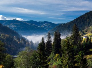Містичні замки, смачне вино, мальовничі пейзажі: творці проекту "Blog 360" поділились враженнями від мандрівки Закарпаттям