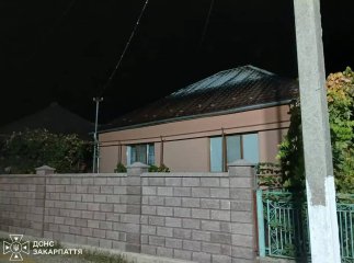 У селі на Берегівщині горів будинок: що відомо про пожежу