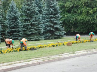 На озеленення Ужгорода у лютому вже витратили понад півтора мільйони гривень