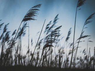 Погода 4 квітня