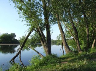 Зони відпочинку за Ужгородом: Кам’яниця, Оріховиця та Невицьке
