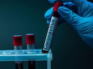 Коронавірус на Закарпатті: за добу понад 100 нових випадків