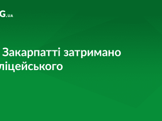 На хабарі затримано закарпатського поліцейського