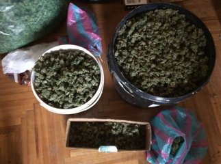 У двох братів із Мукачева поліція вилучила майже 80 кг наркотиків
