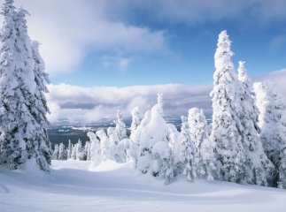 Синоптики прогнозують на Закарпатті різке похолодання та сильні снігопади