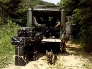 На угорському кордоні прикордонники здійснили постріли для затримання двох контрабандистів